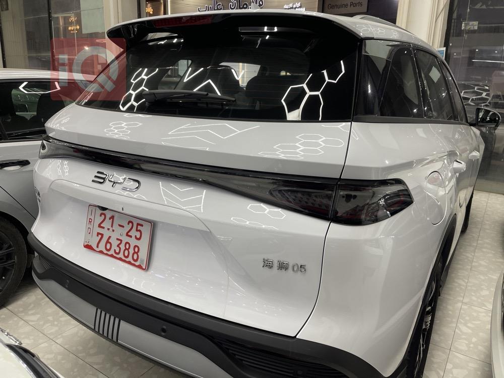 بي واي دي سيليون 05 DM-i